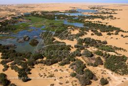 Image du Maroc Professionnelle de  Vue aérienne de la partie stagnante de la Sakia Al Hamra au environ de Laayoune où des oiseaux migrateurs comme les flamants roses trouvent refuge et repos durant leur voyage selon la saison, le 9 Avril 2010. (Photo / Abdeljalil Bounhar)


 